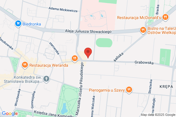 Top-Geo. Zaklad uslug geodezyjno - kartograficznych