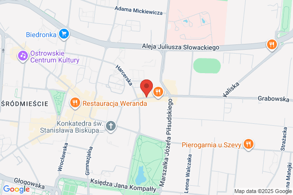 Ambroziak Marek. Uslugi komputerowe