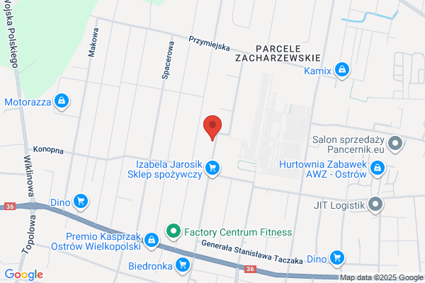 Spizu. Spizak R.