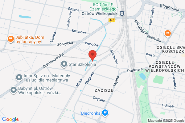 Disco Service. Woznica J.