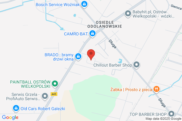 Dinopol. PPUH. Nowicki Idzi