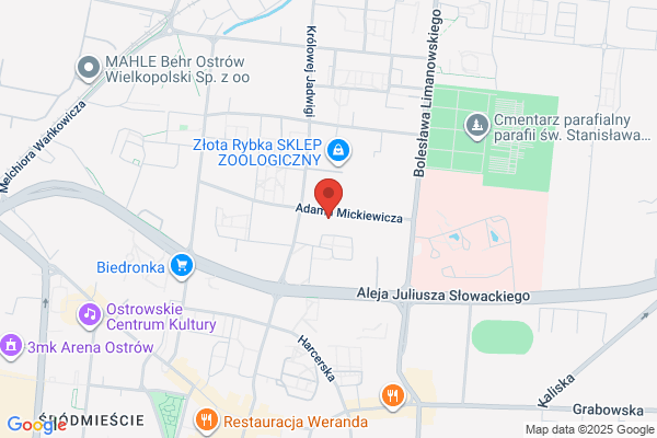 Babst Wlodzimierz. Oprawa obrazów