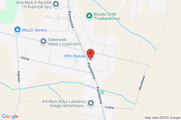 Bylicki. PPH. Bylicki S.