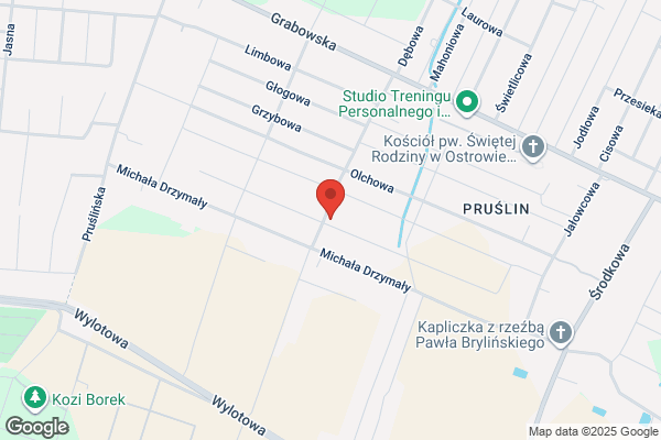 Stasinski Tadeusz. Laboratorium techniki dentystycznej
