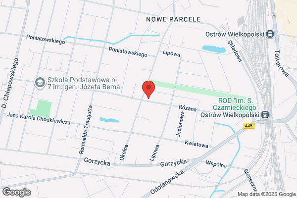Motorex. Sprzedaz i serwis czesci do samochodów ciezarowych i osobowych