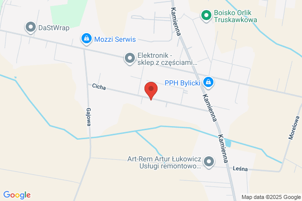 Gromacka Teresa. Przezwajanie silników elektrycznych