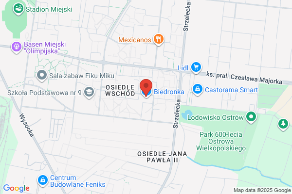 Biedronka. Dyskont spozywczy