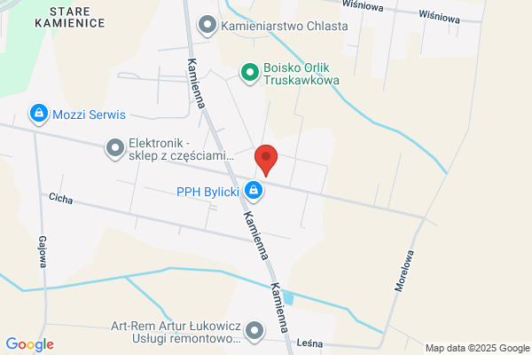 Jokiel Waldemar. Przedsiebiorstwo transportu towarowego