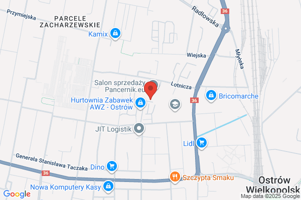 PPKS. Przedsiebiorstwo Panstwowej Komunikacji Samochodowej