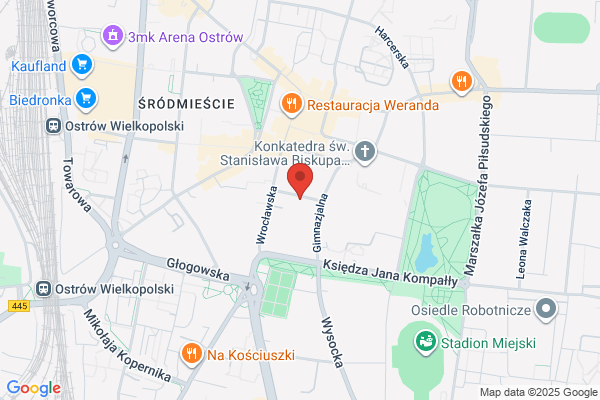 Plóciennik Zdzislaw. Uslugi transportowe