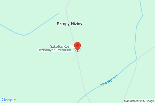Szkólka roslin ozdobnych. Trawniki, ogrody, rosliny ozdobne