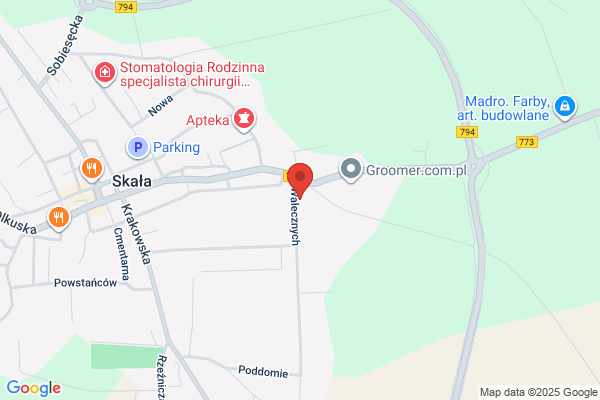 Dalmat SC. Siatki zbrojeniowe