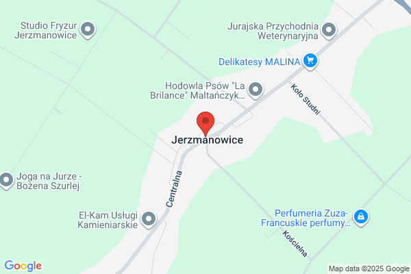 Izdebska Michalina. Agencja ubezpieczeniowa