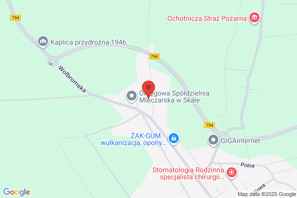 Koczwara Jan. Przewóz osób