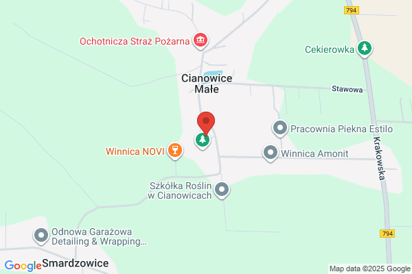 Szkola Podstawowa