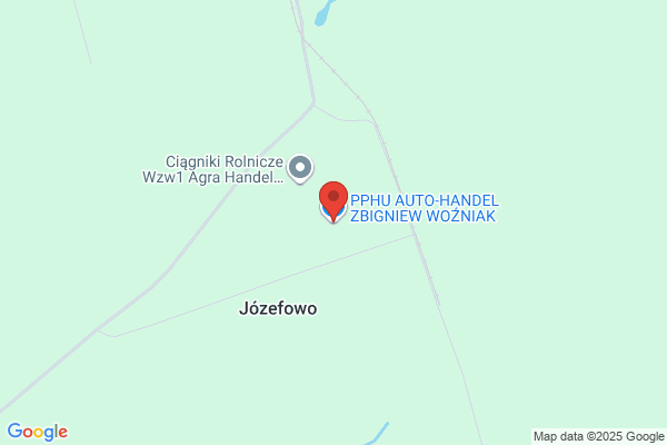 Wozniak Zbigniew. Przewóz osób