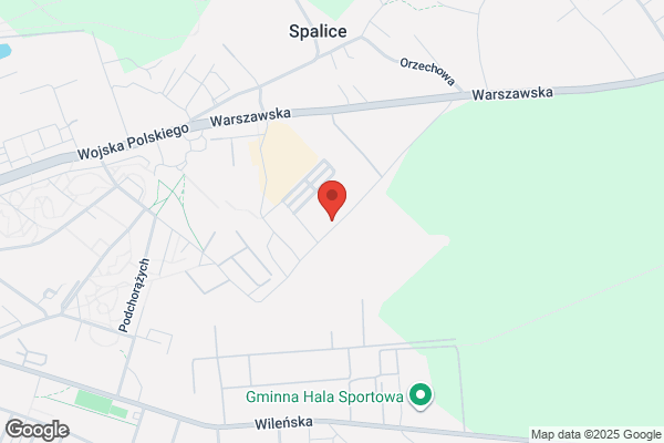 Intrans SC. Biuro celno - podatkowe