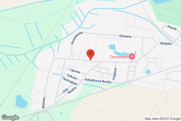 Szczur Regina. Doradca podatkowy