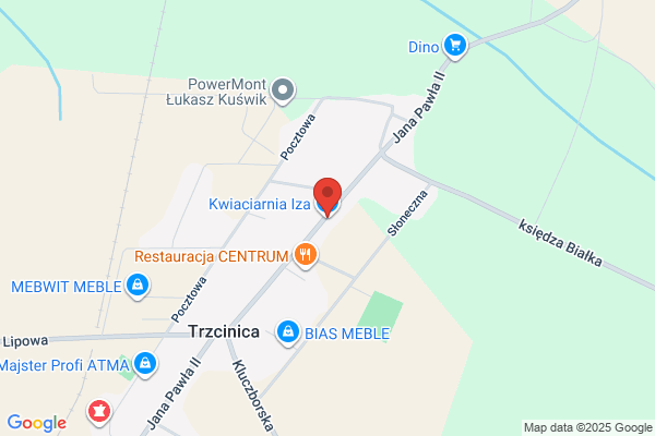 Iza. Kwiaciarnia. Kotulska I.