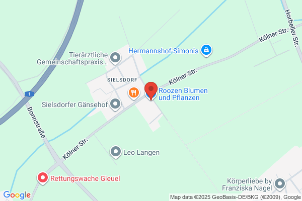 Sart. Kwiaciarnia