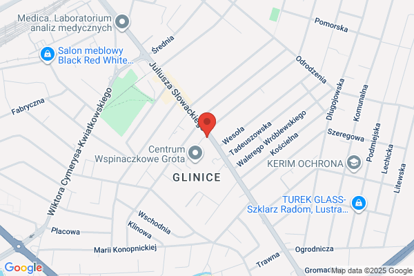 Alfa. Szkolenie kierowców