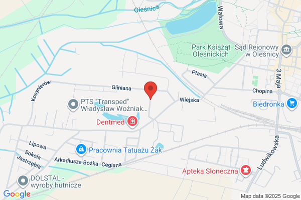 Elektromechanika dzwigowa