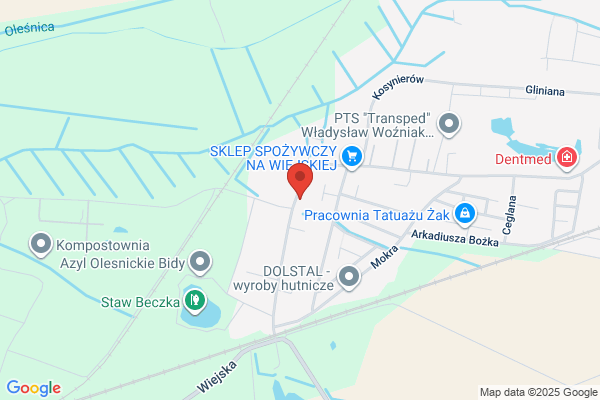 Pesla Dariusz. Autoserwis, autoszyby