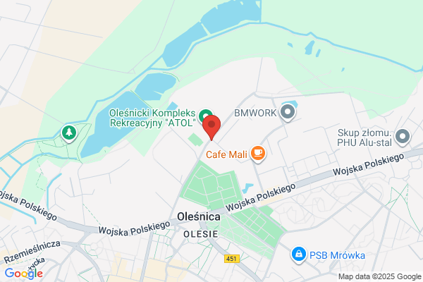 Pogon Olesnica. Miejski Klub Sportowy