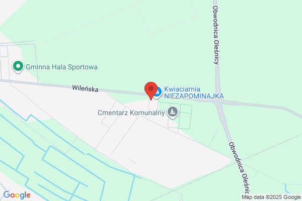 Sliwka Jerzy. Kamieniarstwo