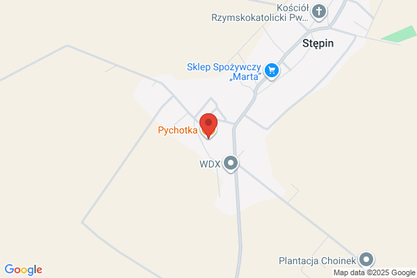 Pychotka SC. Kocjan I., Wojtasik D.
