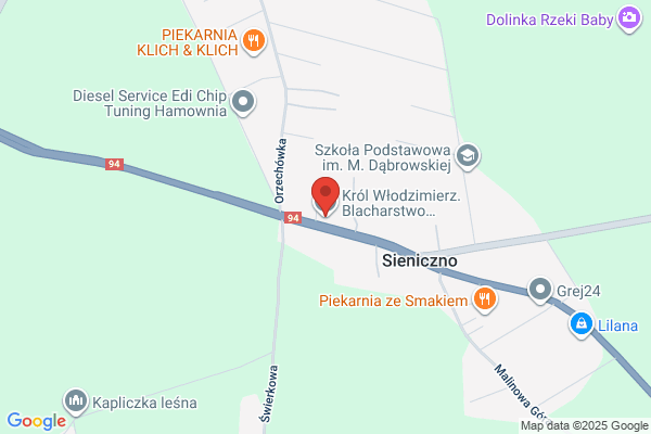 Król Wlodzimierz. Blacharstwo, lakiernictwo