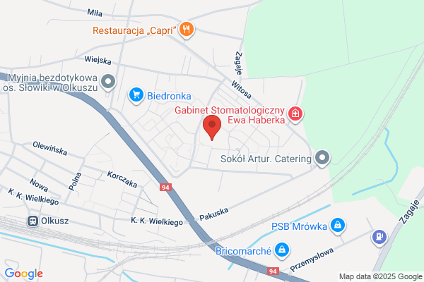 Szkola Podstawowa nr 9 im. pplk. pilota S. Skarzynskiego