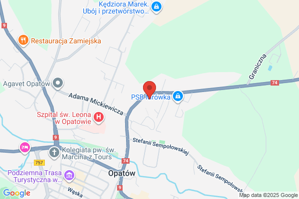 Biedronka. Market spozywczy