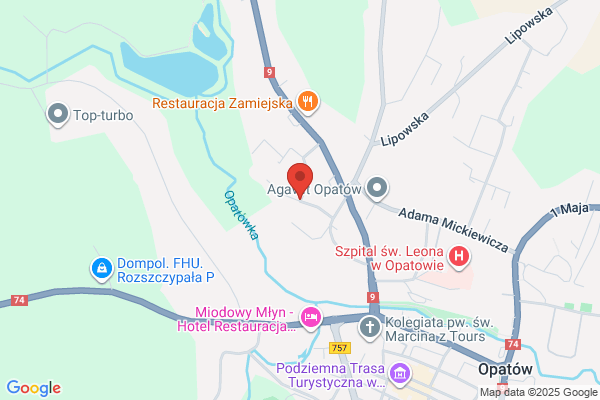 Parafia rzymskokatolicka Wniebowziecia NMP