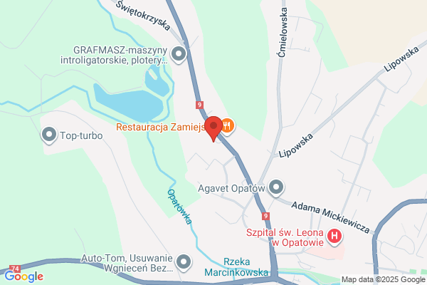Polski Koncern Naftowy Orlen SA. Stacja paliw