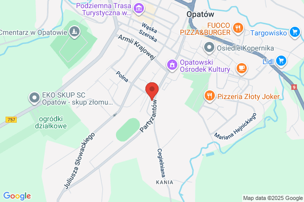 Przedsiebiorstwo Gospodarki Komunalnej i Mieszkaniowej. Sp. z o.o. Zaklad energetyki cieplnej