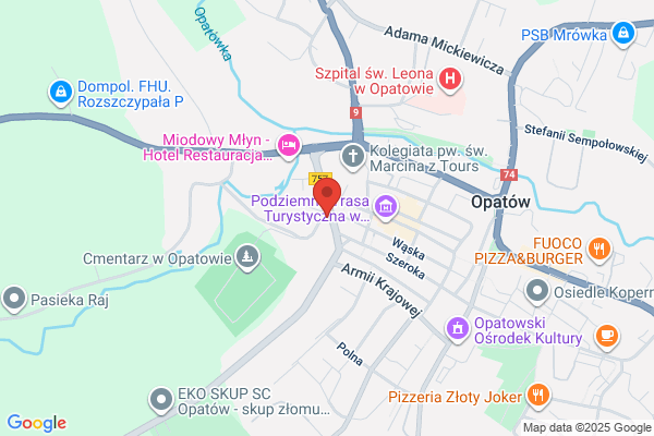 Tomex. Sprzedaz czesci samochodowych