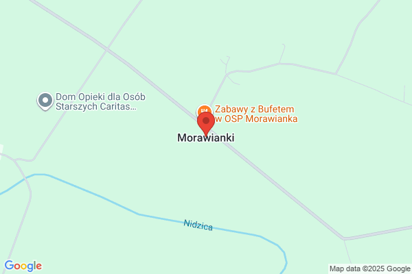 Transmunt. Przedsiebiorstwo transportowe. Partyka Z.
