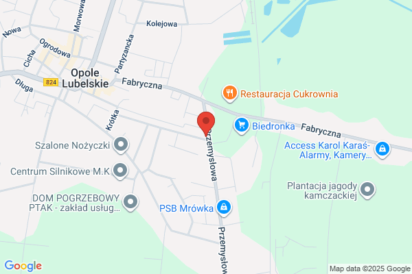 Gryf. Art. przemyslowe. Czopek A.