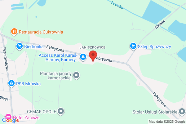Kocon Tomasz. Nauka jazdy