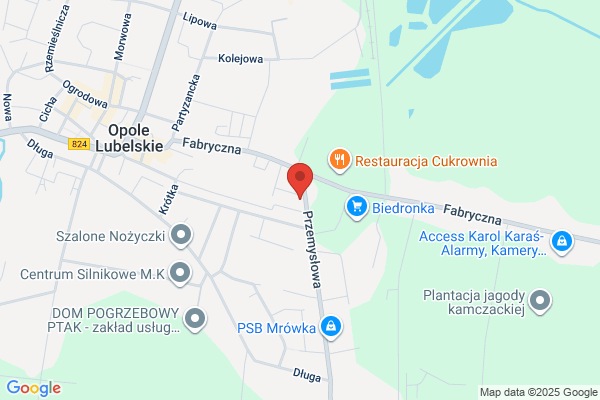 Lubzel Lubelskie Zaklady Energetyczne SA. Zaklad Energetyczny Pulawy. Posterunek energetyczny Opole Lubelskie