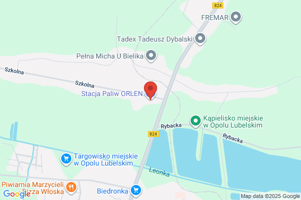 Polski Koncern Naftowy Orlen SA. Stacja paliw