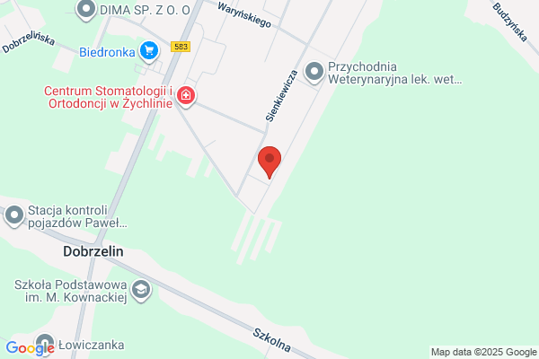 Dolecki Kazimierz. Naprawa pomp wtryskowych i wtryskiwaczy