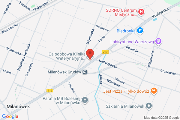 Kisiel Maksymilian. Prywatne pogotowie weterynaryjne