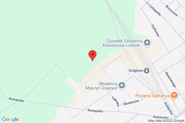 Mioduszewski Romuald. Uslugi budowlane