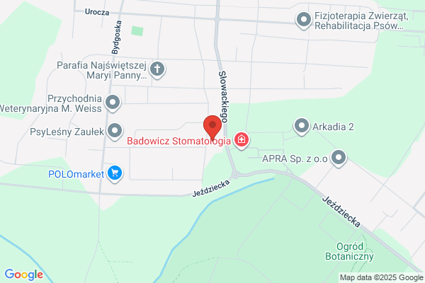 Negrus. Hodowla psów rasowych