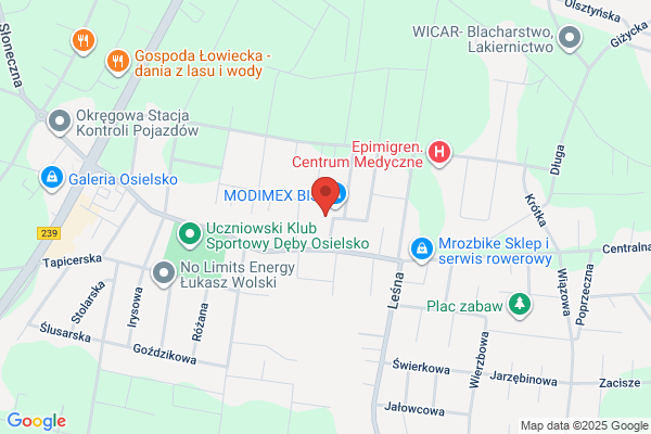 Wcislo Ryszard. Elektryka samochodowa