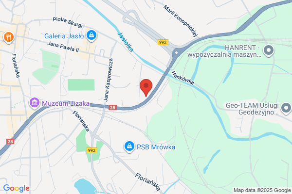 Delfin. S.j. Hurtownia ryb i przetworów rybnych