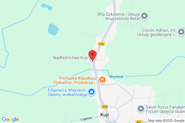 Lesnictwo Masów. Nadlesnictwo Kup