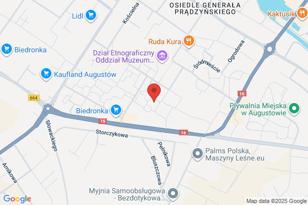 Amazonki. Klub Kobiet po Mastektomii